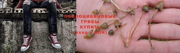 прущая мука Михайловск