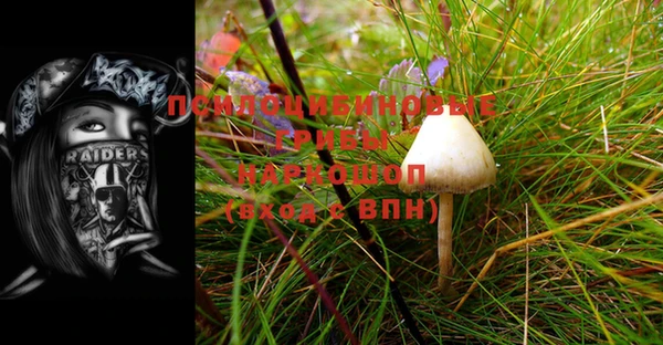 марки lsd Медногорск