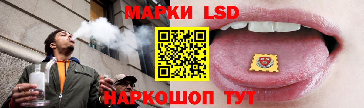 A PVP Челябинск