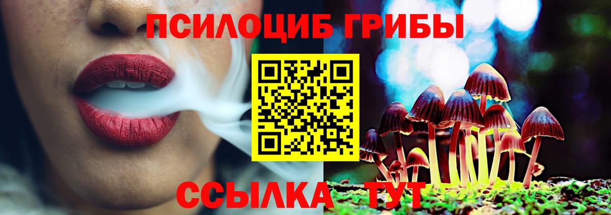 Псилоцибиновые грибы мицелий Челябинск