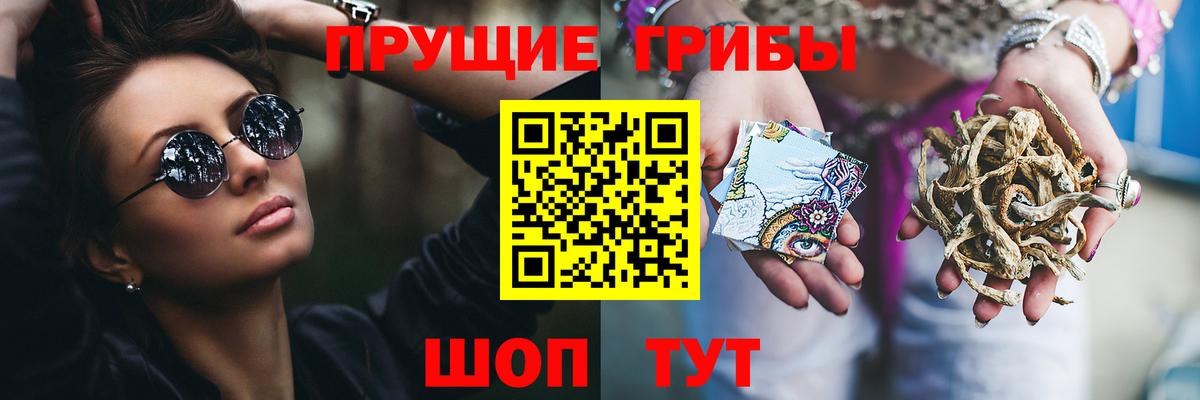 Челябинск  Галлюциногенные грибы Psilocybine cubensis  Вход с VPN 